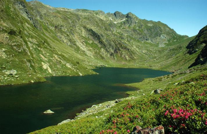Apartaments Sort Pirineus Bagian luar foto