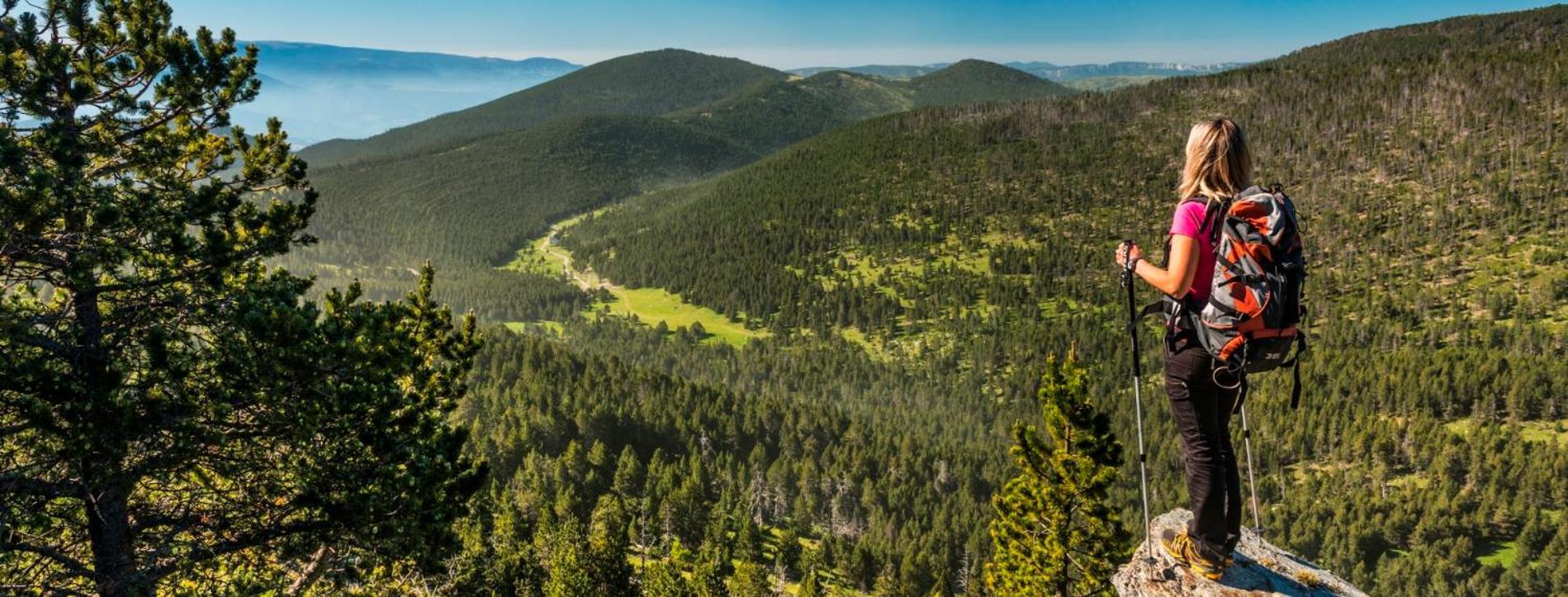 Apartaments Sort Pirineus Bagian luar foto