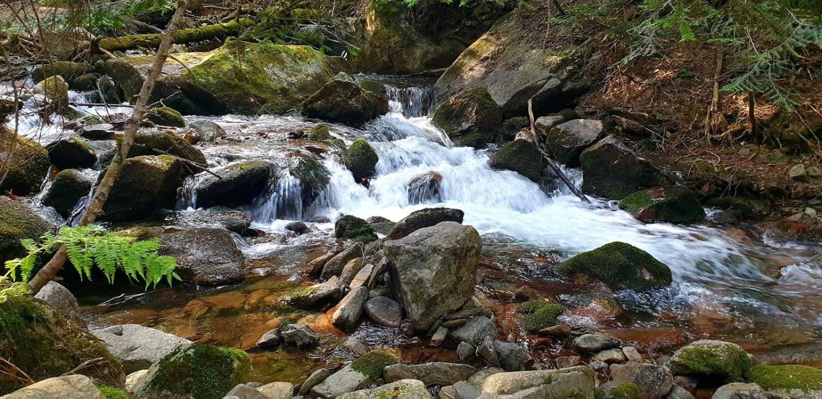 Apartaments Sort Pirineus Bagian luar foto